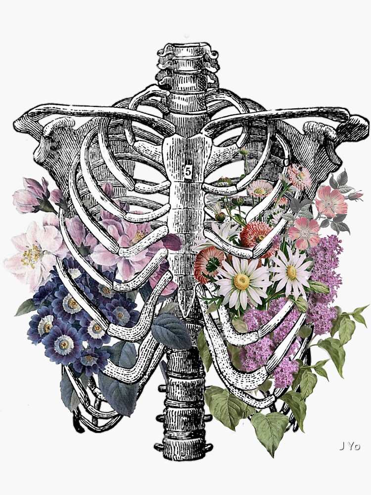 "Floral Rib Cage " Sticker by jilliangyo Redbubble