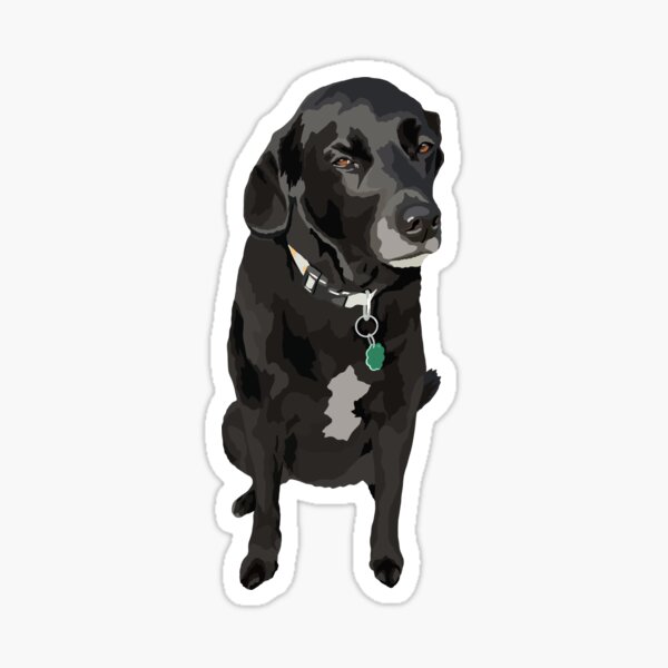"Suzie" Sticker for Sale by KatsDogs Redbubble