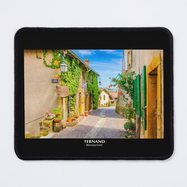 Item preview, Medieval village of Ternand designed and sold by Gaël FONTAINE.