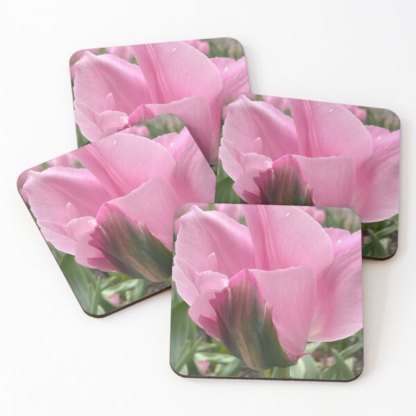 Item preview, Tulip design by Anna’s Floristry Design designed and sold by AnnasFloristry.