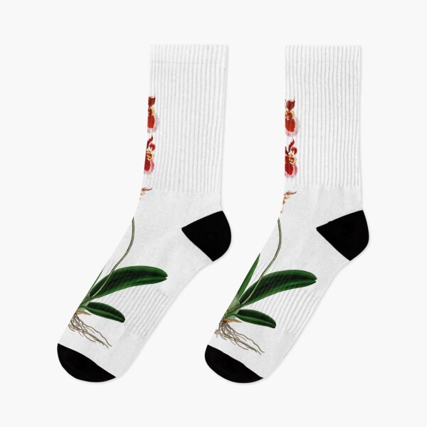 Item preview, Orchids designed and sold by Anthony Seeker.