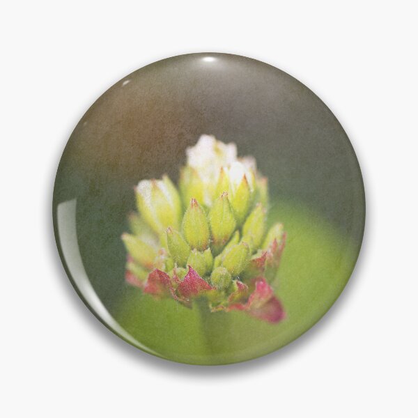 Item preview, Geranium Flower Buds Textured designed and sold by Joy Watson - Natural Light Photography .
