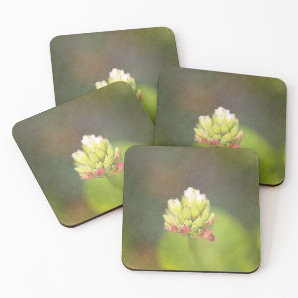 Item preview, Geranium Flower Buds Textured designed and sold by Joy Watson - Natural Light Photography .