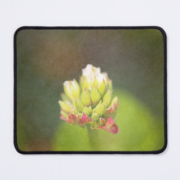 Item preview, Geranium Flower Buds Textured designed and sold by Joy Watson - Natural Light Photography .
