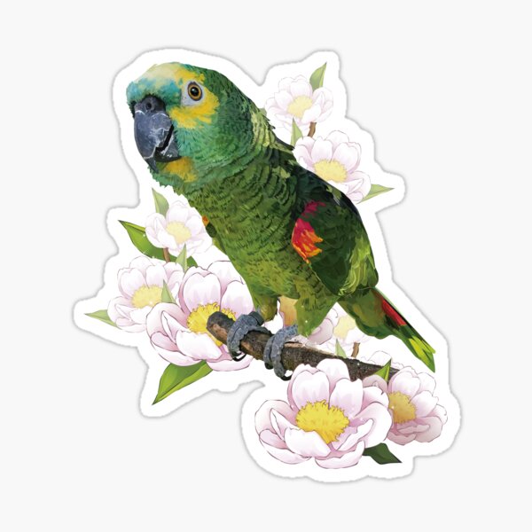 "The bluefronted amazon" Sticker for Sale by obscurite Redbubble