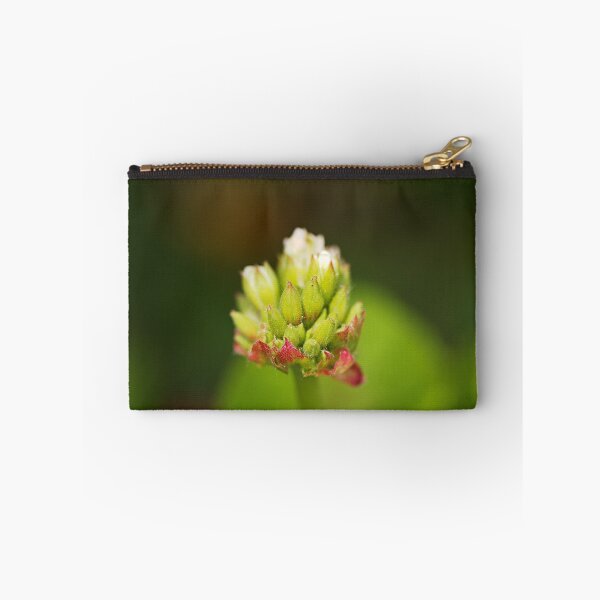 Item preview, Cranesbill Flower Buds designed and sold by Joy Watson - Natural Light Photography .