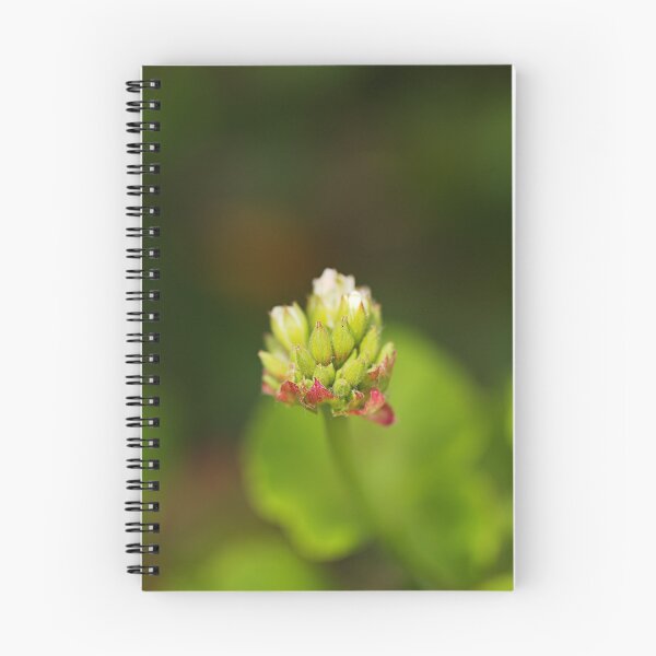 Item preview, Cranesbill Flower Buds designed and sold by Joy Watson - Natural Light Photography .