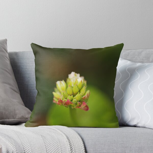 Item preview, Cranesbill Flower Buds designed and sold by Joy Watson - Natural Light Photography .