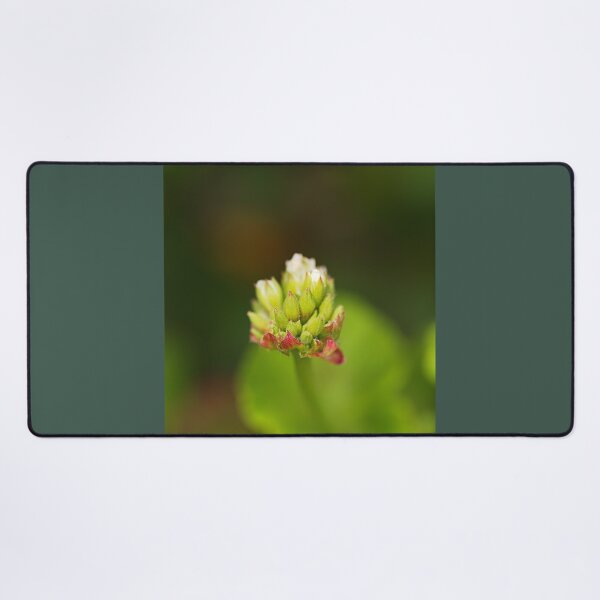 Item preview, Cranesbill Flower Buds designed and sold by Joy Watson - Natural Light Photography .
