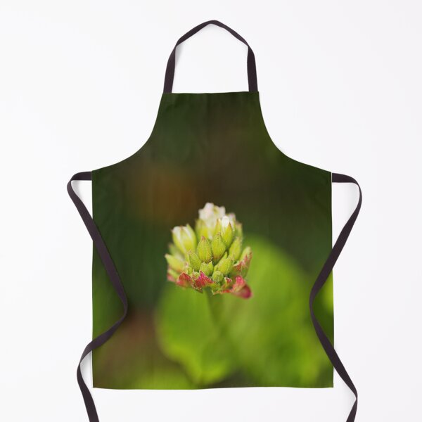 Item preview, Cranesbill Flower Buds designed and sold by Joy Watson - Natural Light Photography .