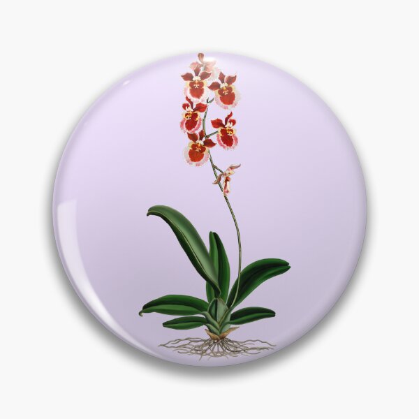 Item preview, Orchids designed and sold by Anthony Seeker.