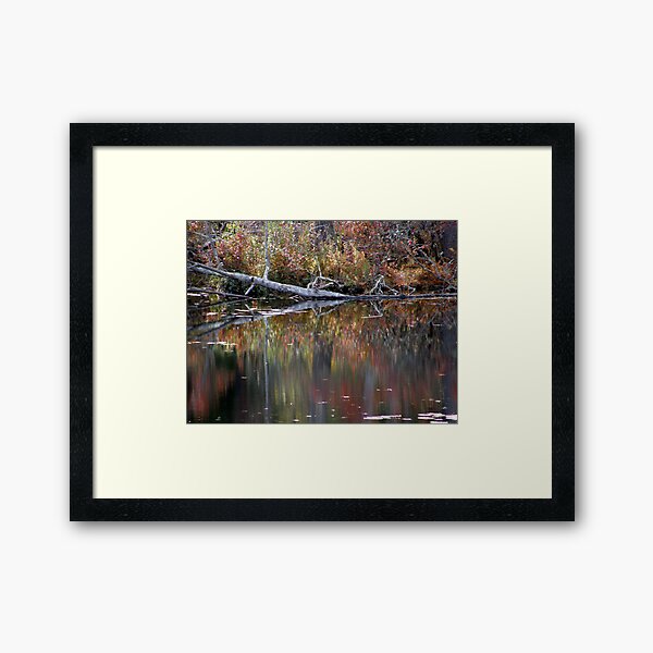 Watercolor Framed Art Print