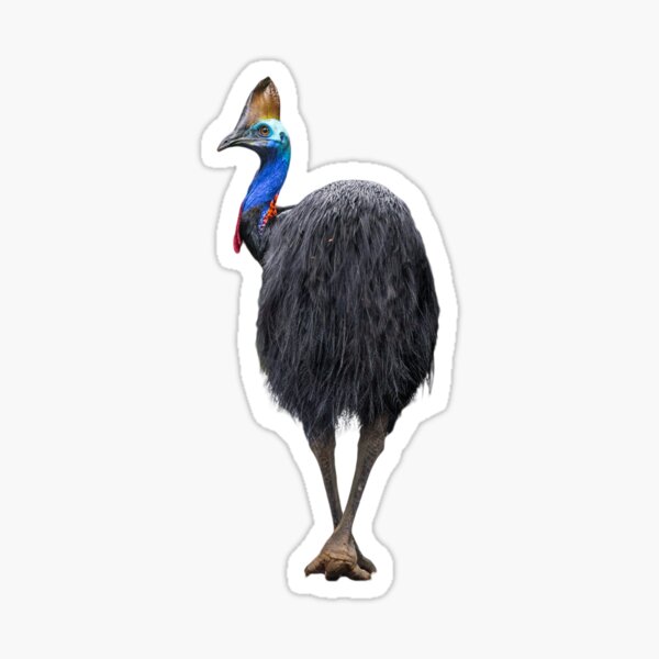 Item preview, Cassowary designed and sold by Jaykayl.
