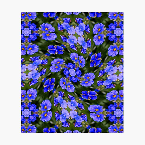 Item preview, Blue Veronica Pattern designed and sold by Patternflower.