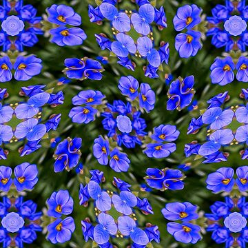 Artwork thumbnail, Blue Veronica Pattern by Patternflower