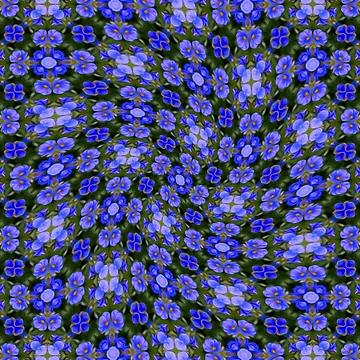 Artwork thumbnail, Blue Veronica Pattern by Patternflower
