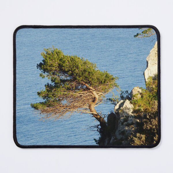Item preview, Coastal Tree on Cliff Edge in Capri Island, Italy designed and sold by CarolinaReina.