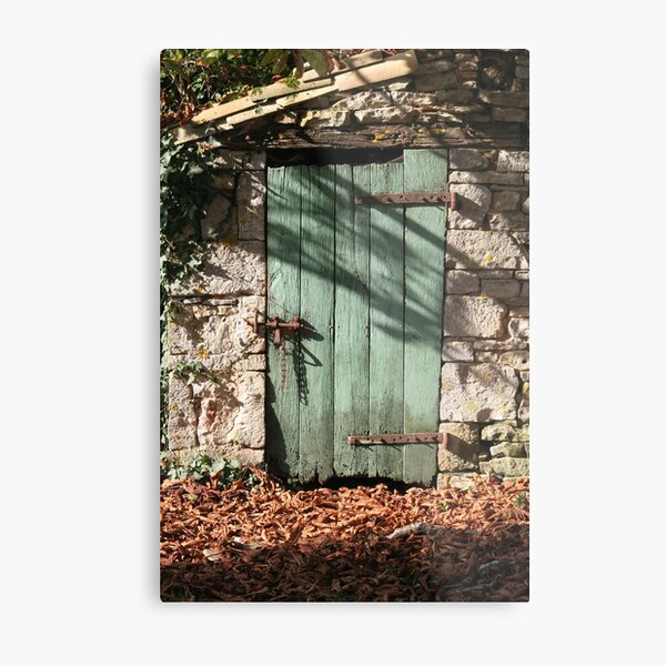 Green Door Metal Print
