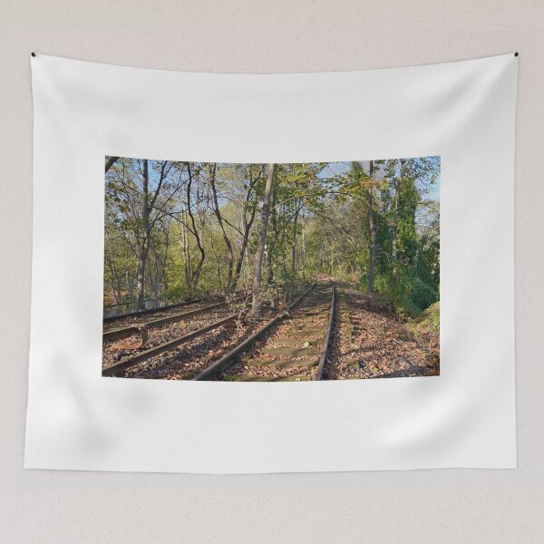 Item preview, Rusted rails on disused Berlin S Bahn Railway designed and sold by Random Railways.