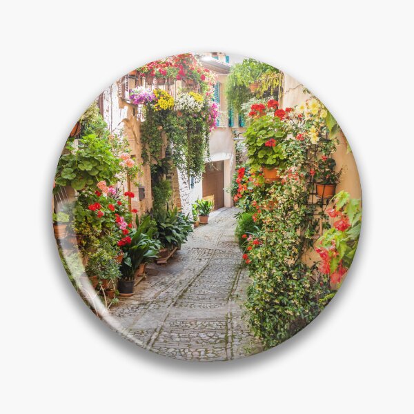 Item preview, Flowers in ancient street located in Spello village. Umbria Region, Italy. designed and sold by Paolo Modena Photography - Fine Italian Art.
