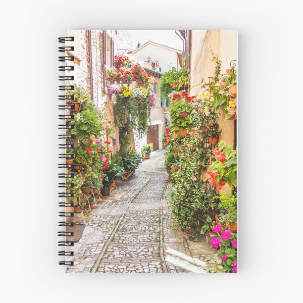 Item preview, Flowers in ancient street located in Spello village. Umbria Region, Italy. designed and sold by Paolo Modena Photography    -   Fine Italian Art.
