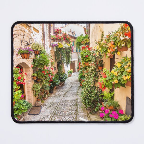 Item preview, Flowers in ancient street located in Spello village. Umbria Region, Italy. designed and sold by Paolo Modena Photography - Fine Italian Art.