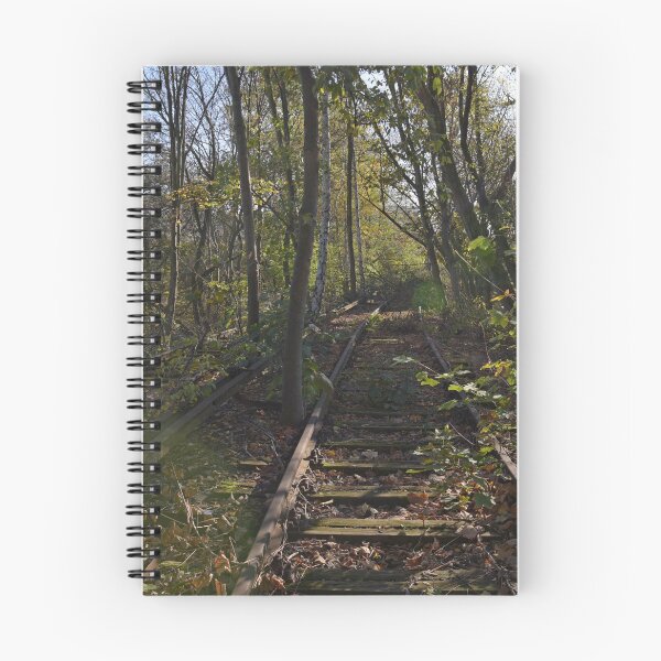 Item preview, Rusted rails on disused Berlin S Bahn Railway designed and sold by Random Railways.