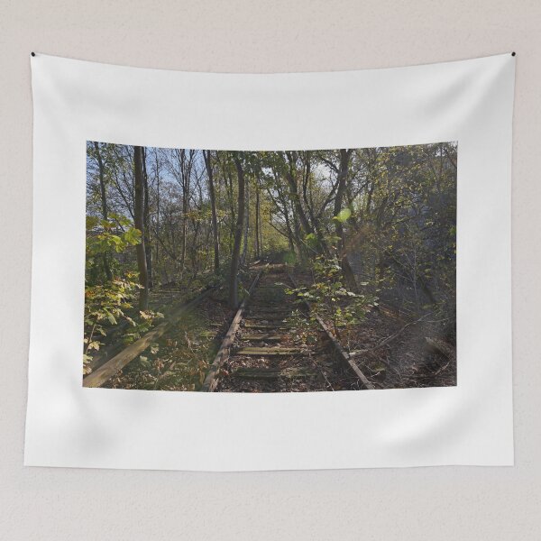 Item preview, Rusted rails on disused Berlin S Bahn Railway designed and sold by Random Railways.