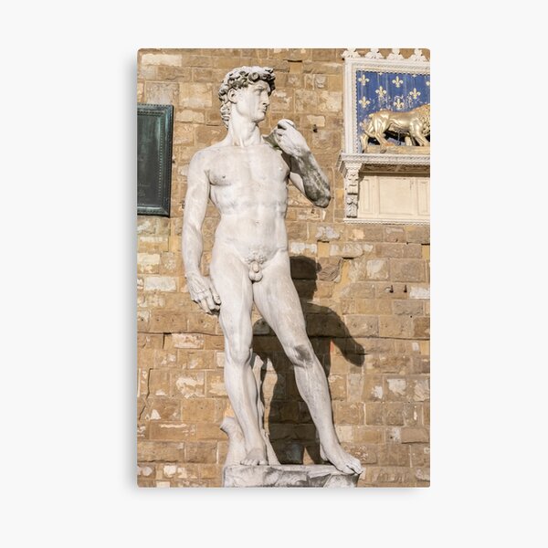 Item preview, David by Michelangelo Buonarroti in Florence, Italy. Famous masterpiece male perfection designed and sold by Paolo Modena Photography    -   Fine Italian Art.