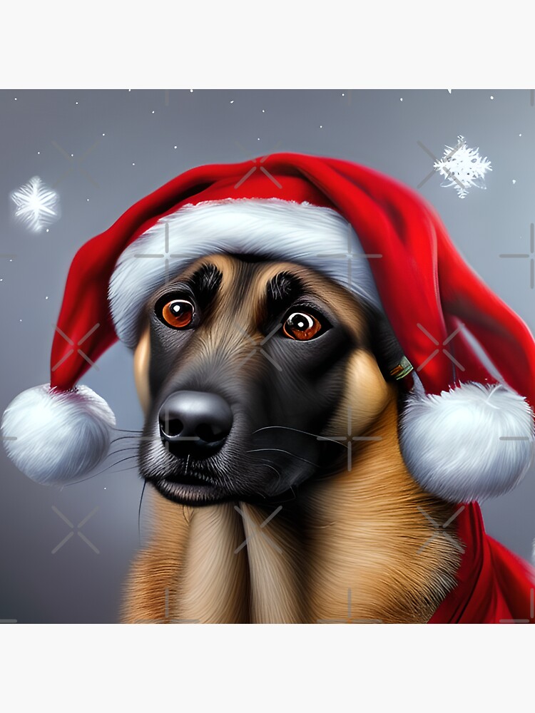 Christmas Belgian Malinois Wearing A Santa Hat