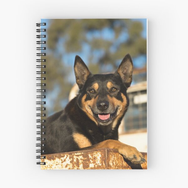 Item preview, King Of The Kelpies & His Hilux Ute....... designed and sold by mitpjenkeating.