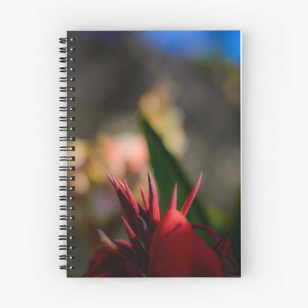 Item preview.