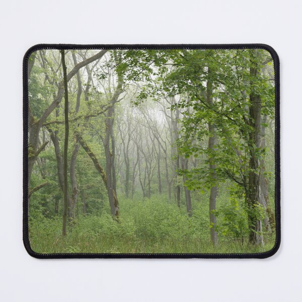 Item preview, A Cotswold Wood designed and sold by andrewroland.