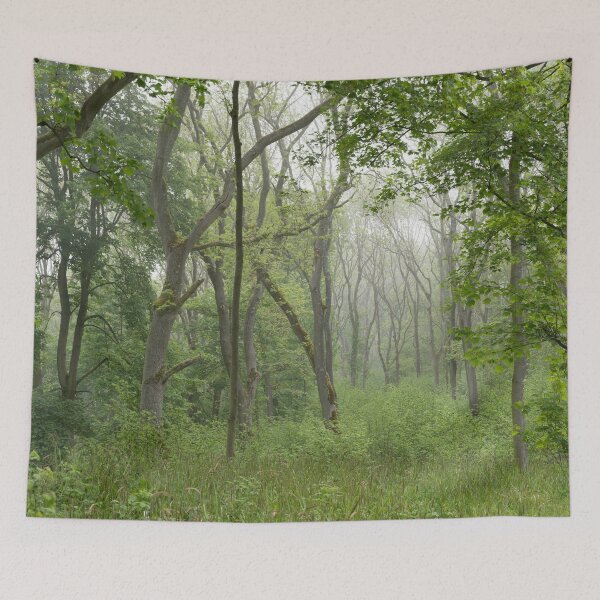 Item preview, A Cotswold Wood designed and sold by andrewroland.