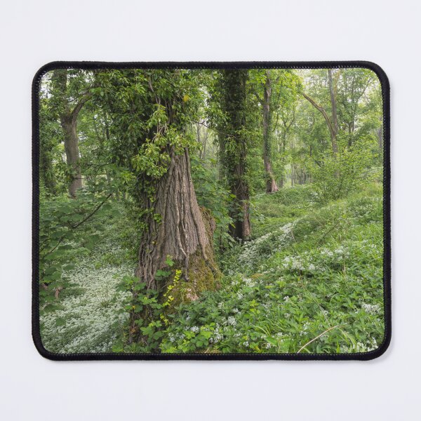 Item preview, A Cotswold Wood designed and sold by andrewroland.