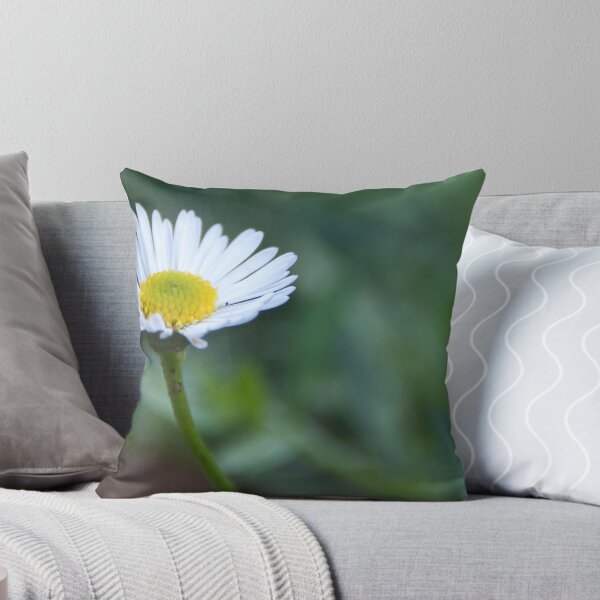 Item preview, Singel daisy designed and sold by Marcus Grant IPA.