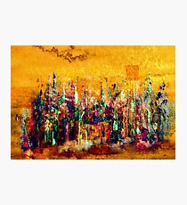 Camaraderie Photographic Print