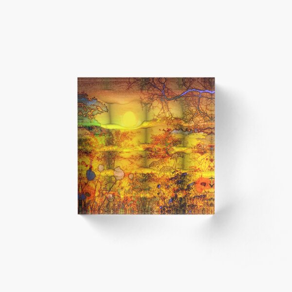 Abundance Acrylic Block