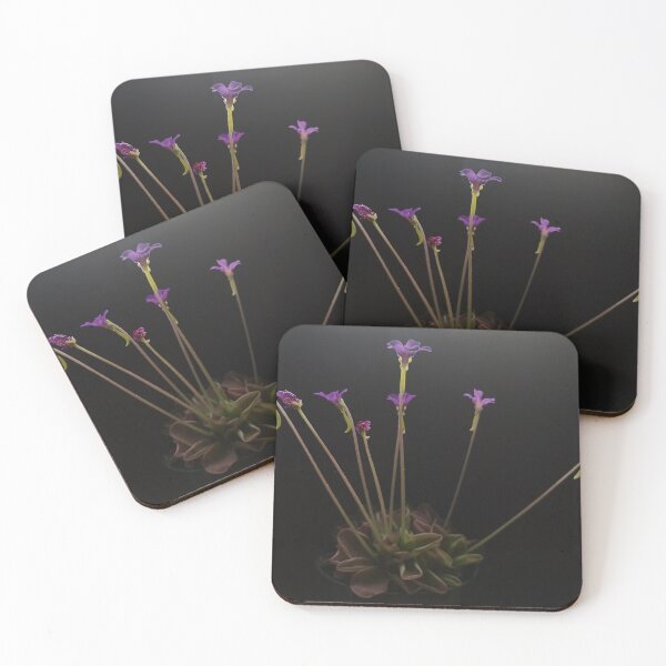 Item preview, Pinguicula in bloom #1 designed and sold by Deathplant.