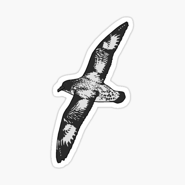 Item preview, Cape Petrel designed and sold by taylorrowan.