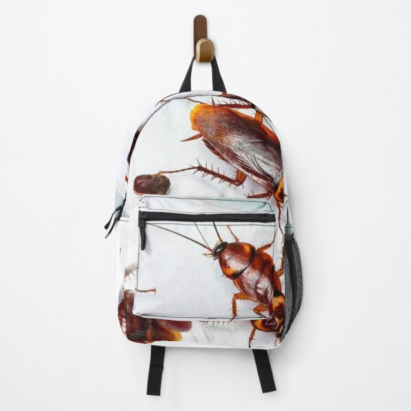 Item preview, Cockroach photo with high resolution quality designed and sold by Allyouneed-2.
