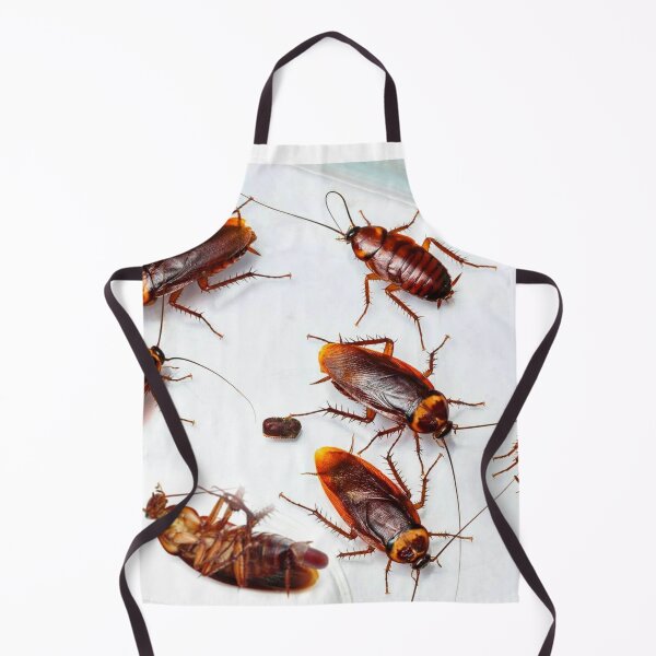 Item preview, Cockroach photo with high resolution quality designed and sold by Allyouneed-2.
