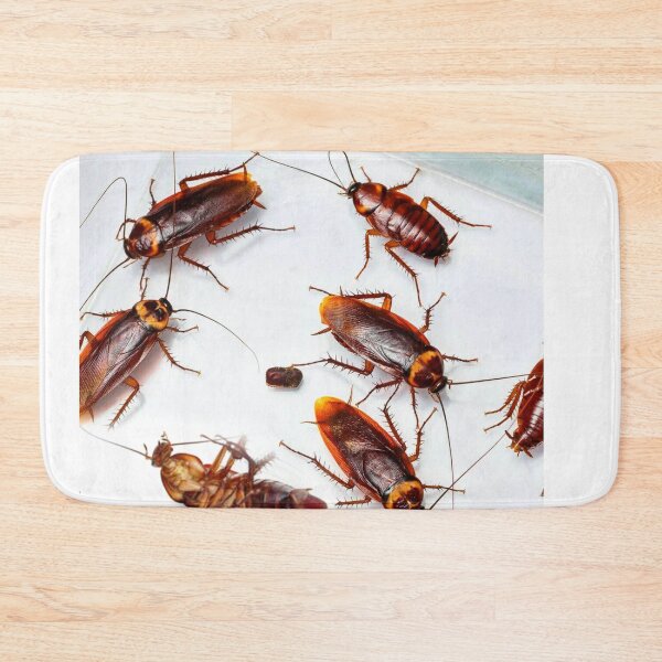 Item preview, Cockroach photo with high resolution quality designed and sold by Allyouneed-2.