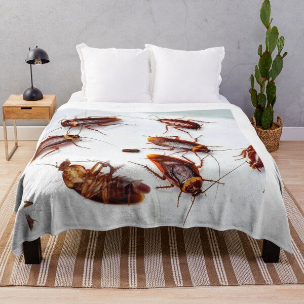 Item preview, Cockroach photo with high resolution quality designed and sold by Allyouneed-2.