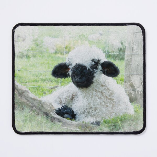Item preview, Valais Blacknose Sheep Watercolour Photograph. designed and sold by Jane Stanley Photography.