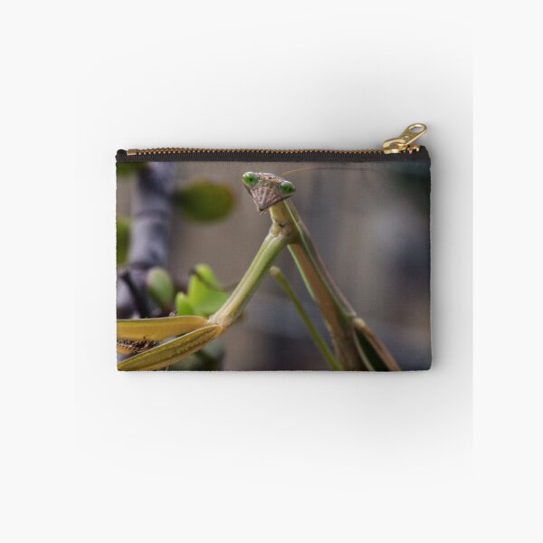 Item preview, Stick insect on shrub 20150207 1503 designed and sold by Fred Mitchell.