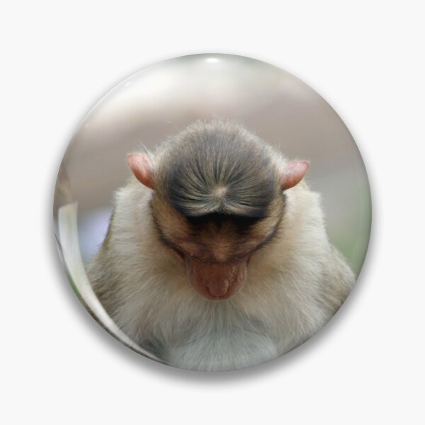 Item preview, Bonnet Macaque Monkey designed and sold by VgBingi.