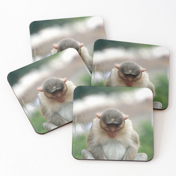 Item preview, Bonnet Macaque Monkey designed and sold by VgBingi.