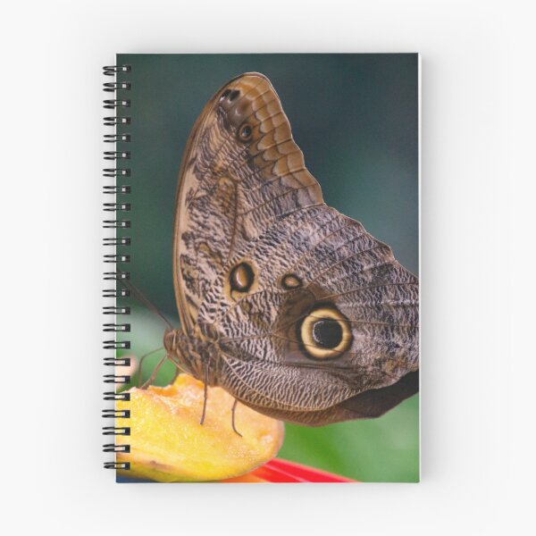 Item preview, lunch time for the butterfly designed and sold by Perggals© - Stacey Turner.