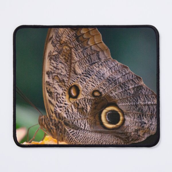 Item preview, lunch time for the butterfly designed and sold by Perggals© - Stacey Turner.